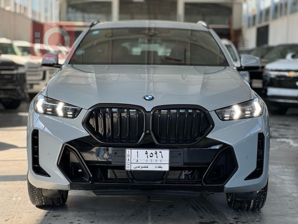 BMW X6